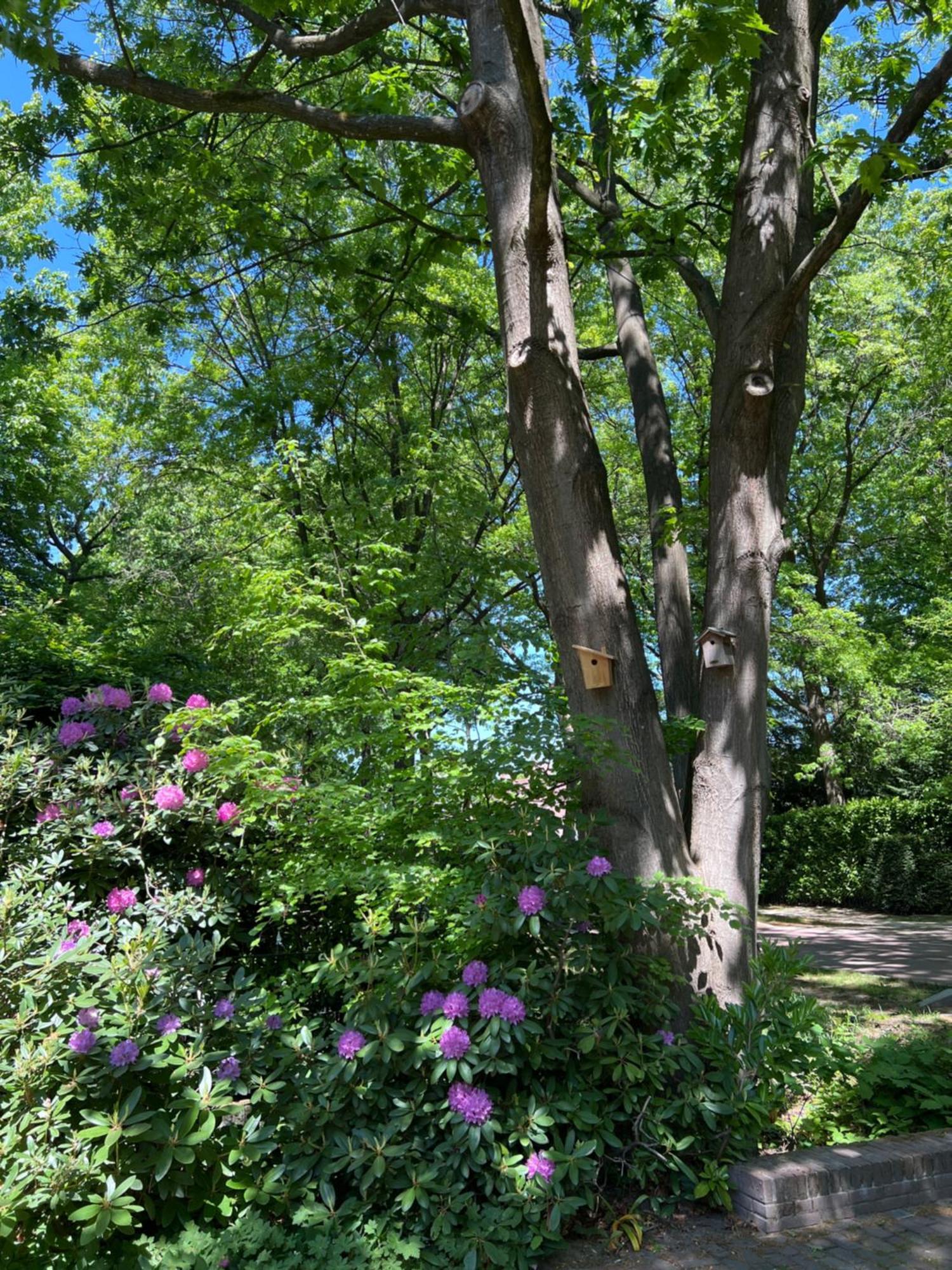De Merel Vught Esterno foto