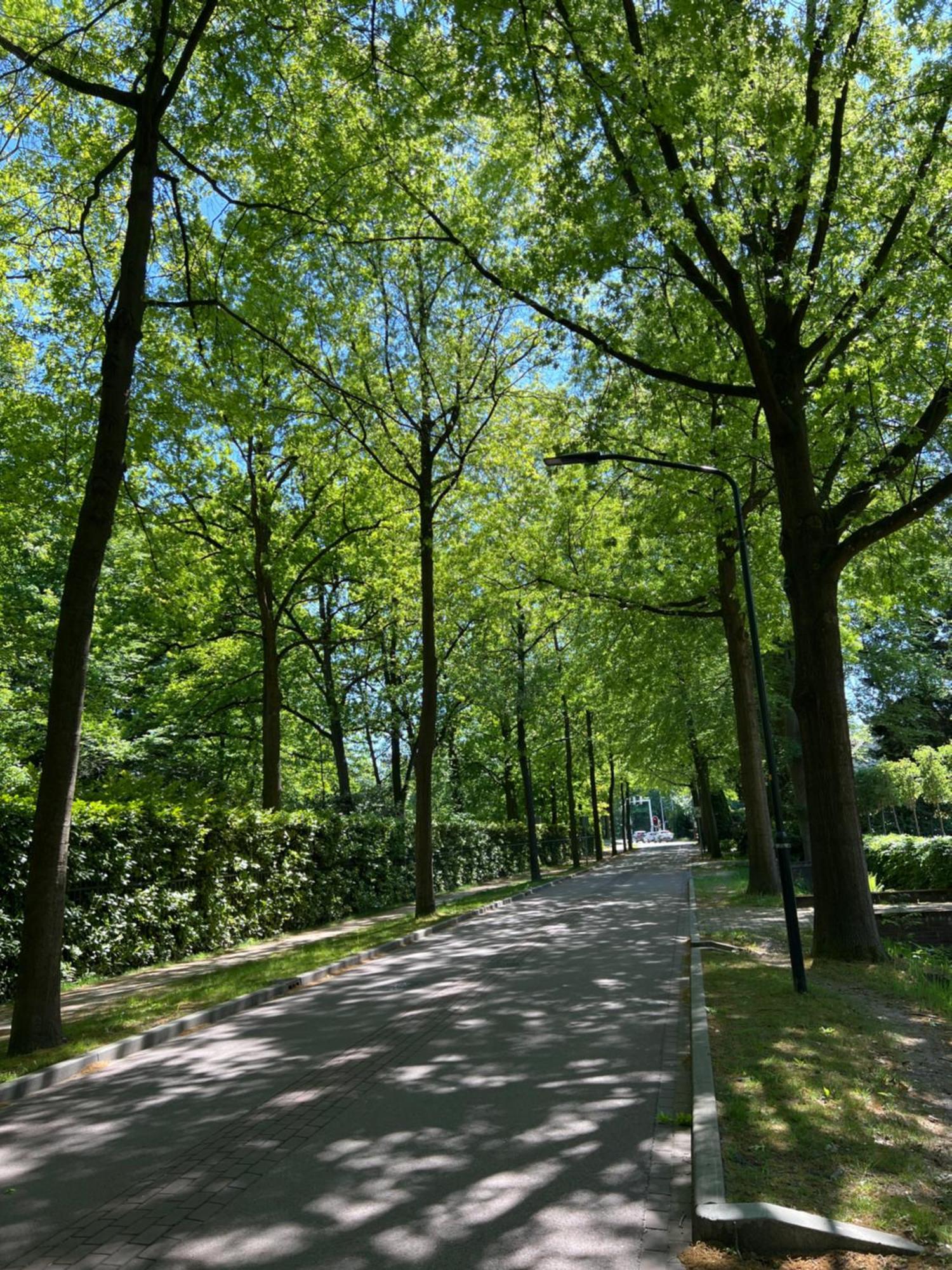 De Merel Vught Esterno foto
